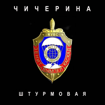 Штурмовая