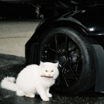 Sultan