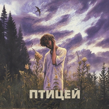 Птицей
