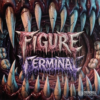 Terminal