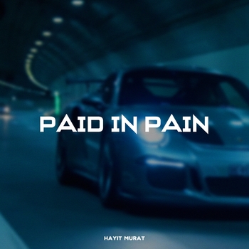 Paid In Pain