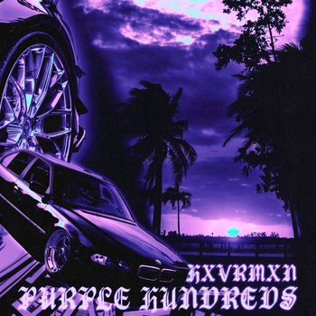 PURPLE HUNDREDS
