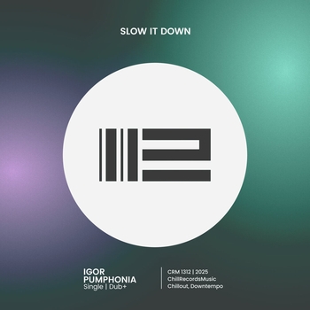 Slow It Down