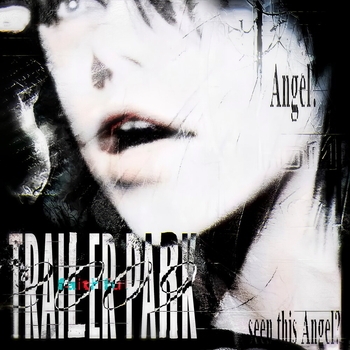 Trailer Park