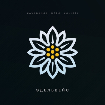 Эдельвейс