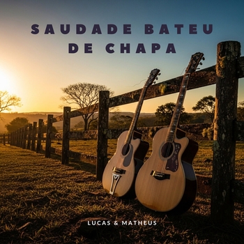 Saudade Bateu de Chapa