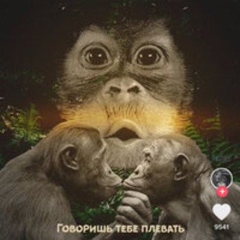 Говоришь тебе плевать