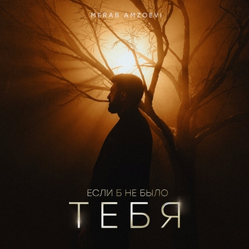 Если б не было тебя