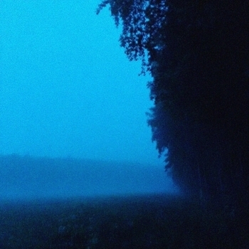 after the rain