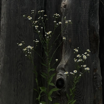 hiding place