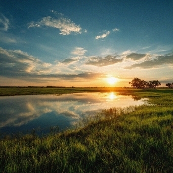sunrise