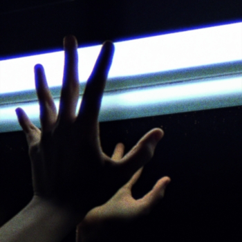 After Dark x mylancore
