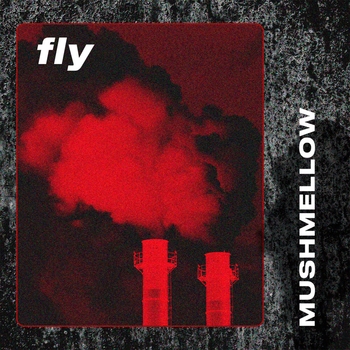 Fly
