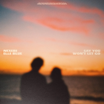 Say You Won't Let Go
