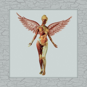 In Utero 30th Live