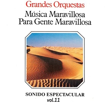 Música Maravillosa Para Gente Maravillosa, Vol. 11