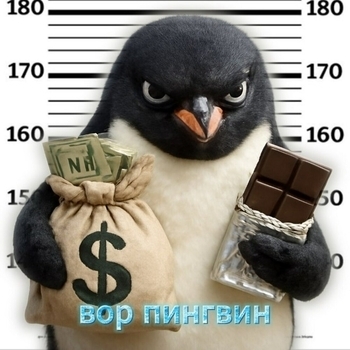 Вор пингвин