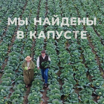 Мы найдены в капусте