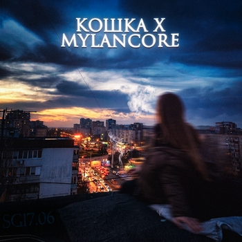 кошка x mylancore