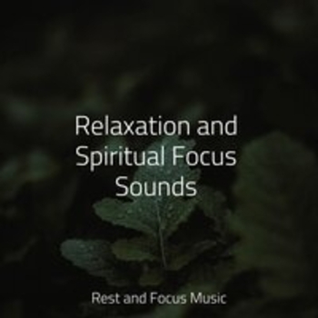 Relaxation and Spiritual Focus Sounds