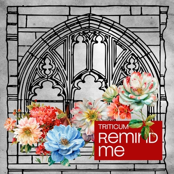 Remind Me