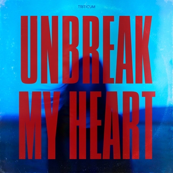 Unbreak My Heart