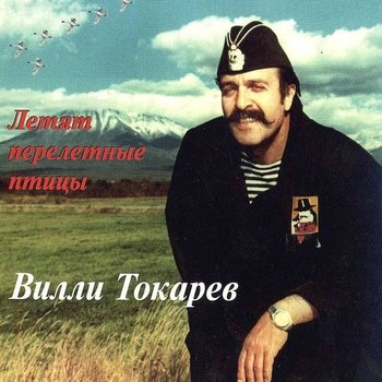 Летят перелётные птицы