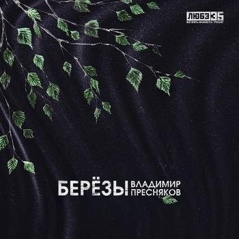 Берёзы