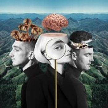 Clean Bandit and Kyle