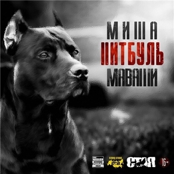 Миша Маваши