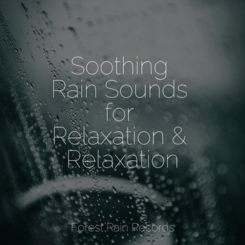 Relaxing Sleep Music