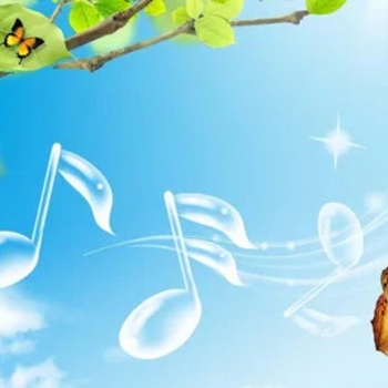 Skylover