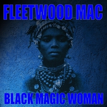 The Mick Fleetwood Blues Band
