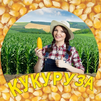 Стань светом моим (Кукуруза 2019)