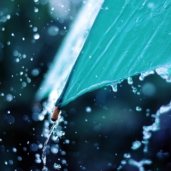 Have You Ever Seen The Rain? (Минус)