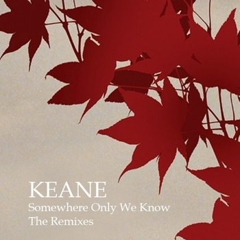 Somewhere Only We Know (Cover)