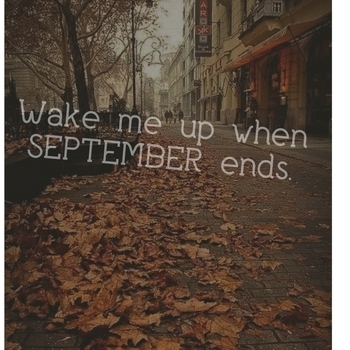 Wake Me up When September Ends (Cover)