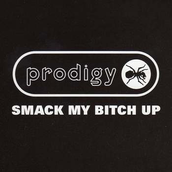 Smack My Bitch Up (Cover)