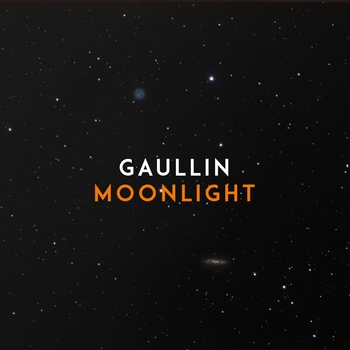 Moonlight (Cover)