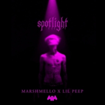 Spotlight (Cover)
