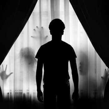 In The Shadows (Cover)