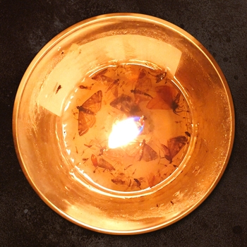 Старик (Тревога и нега 2021)