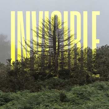 Microcosm (The Invisible Ep 2021)