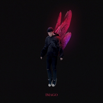 Наивность (Imago 2022)