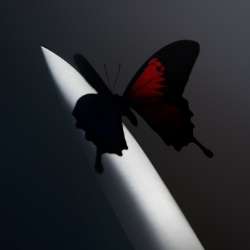 Wasting Angels (Twelve Carat Toothache 2022)