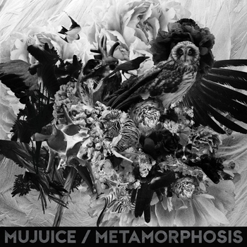 September 23 (Metamorphosis 2014)
