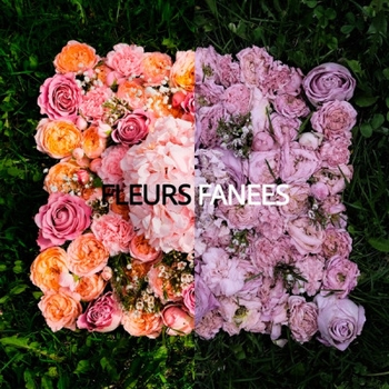 Anyway (Fleurs Fanees 2023)