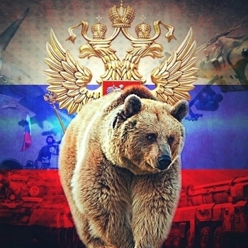 Два белых крыла