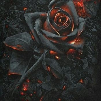 A Beautiful Lie (Cover)