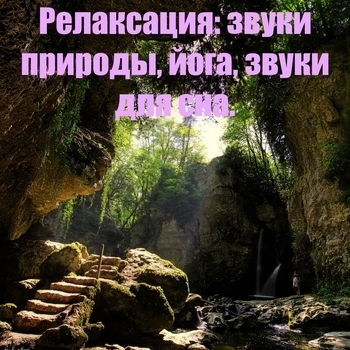 Вечерний лес